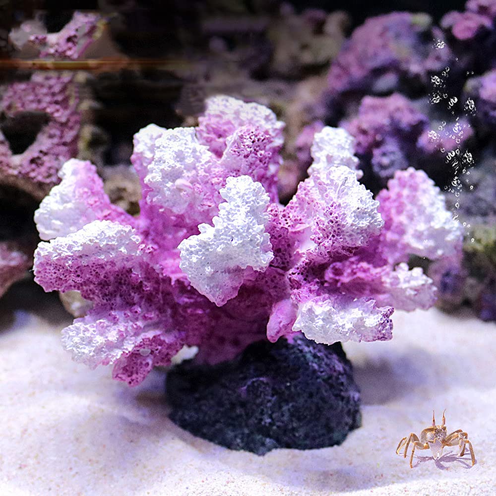 Amazon | Luottus 人工珊瑚 サンゴ 水槽 コーラル オブジェ レプリカ